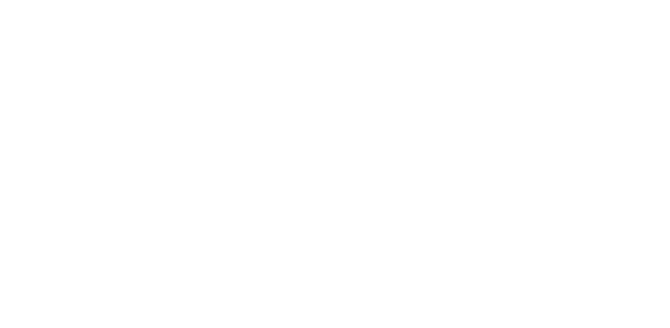 Logo Raices